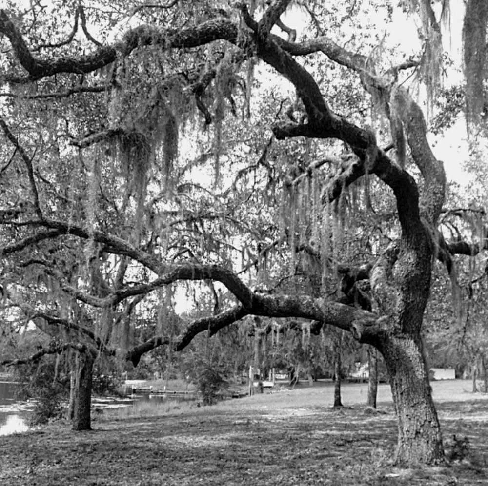 Meet your Posher, Josalyn